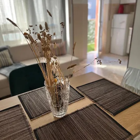 Ultimo Piano Con Parcheggio * Triest